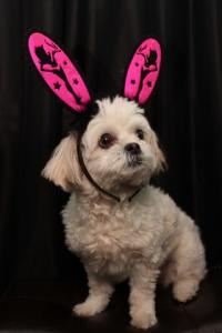 Twisted Photo Booths