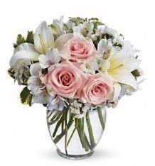 Agape Flowers & Gifts