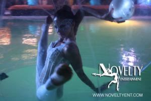 Novelty Entertainment