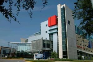 Wilson Studio Of Photography