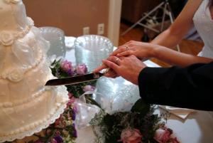 Wilson Studio Of Photography